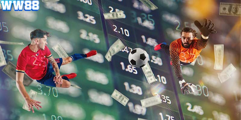 Hướng Dẫn Cách Tham Gia Kèo Châu Á Cho Người Mới Bắt Đầu